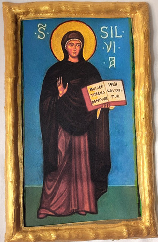 Santa silvia rara - rara, targa