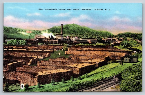 North carolina canton campion - north,