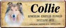  Targa in latta ''Collie''