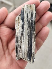 Fossile di legno pietrificato