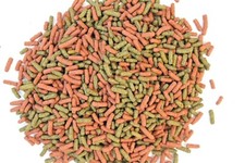 10 litri PREMIUM MIX