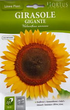 SEMI DI GIRASOLE GIGANTE IN BUSTA SIGILLATA