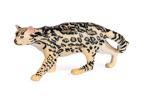 Leopardus pardalis - 9,5, cm