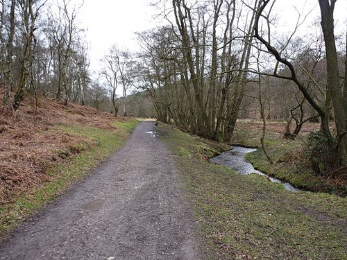 Photo 6x4 the sher - brook, by