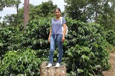 KENYA AA KAHINDU CAFFÈ IN