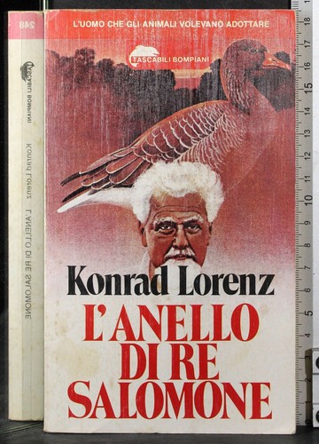 Anello re salomone - di,
