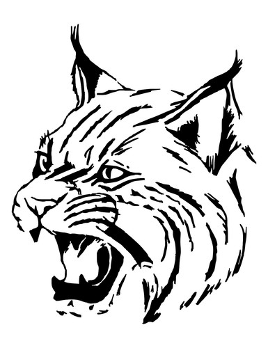 Adesivi auto sticker - auto, lince