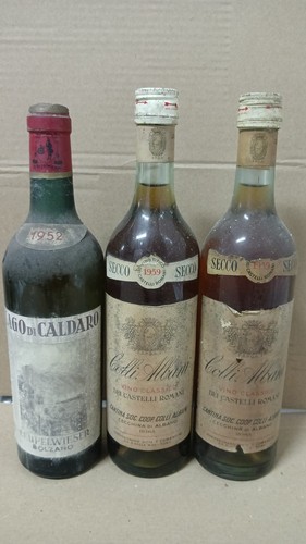 Lotto vini 1952 1959 - lotto, pale