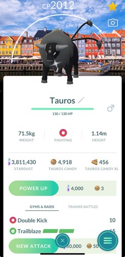 Shiny paldean combat breed - combat,