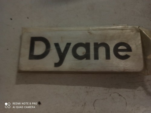 Logo dyane in alluminio - "dyane",