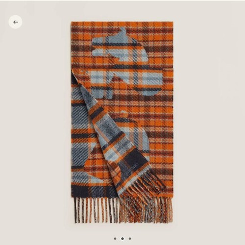 Sciarpa cashmere hermes - sciarpa, in