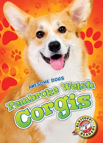 Pembroke welsh corgis awesome - welsh, (awesome