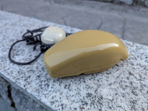 Telefono grillo conchiglia - telefono,