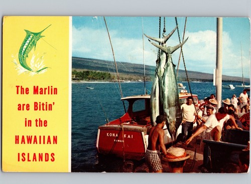 C1960 the marlin - are, mording