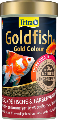 Goldfish gold colour mangime - colour,