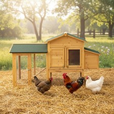 Pollaio XXL pollaio gabbia per