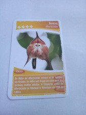 OCEANIA 9 Natura Sorprendente