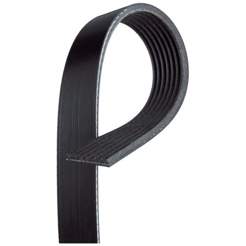 Cinghia poly gates 7pk1165sf - v,