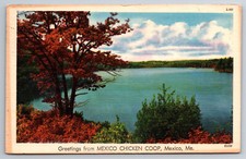 Pollaio Messico, Maine - ME, saluti, lago, cartolina d'epoca