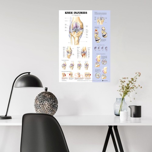 Poster ortopedico anatomia