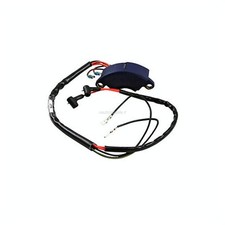 Centralina elettrica Evinrude