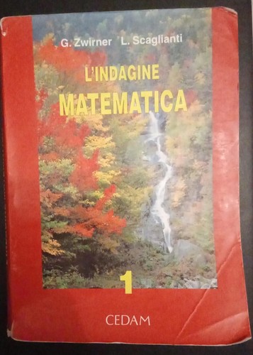 Indagine matematica g - matematica,