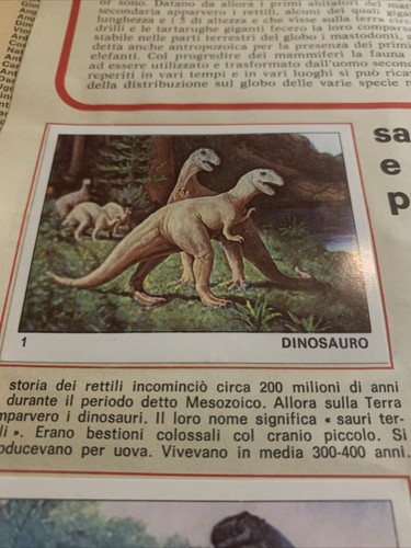 Figurina il mondo degli - figurina,