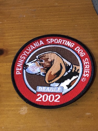 Beagle pennsylvania sporting - beagle,