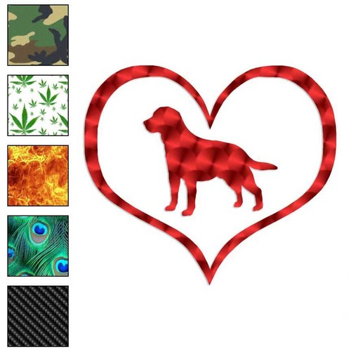 Cuore labrador retriever - labrador, cane