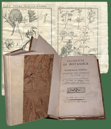 Elementi botanica di - di,