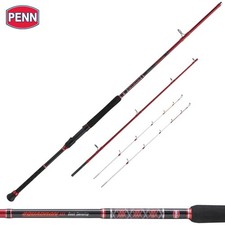 Canna da pesca PENN SQUADRON