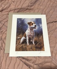 Jack Russell Terrier Dog