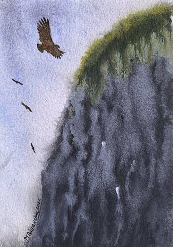 Uccellini aquile montagna - uccellini,