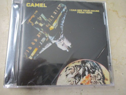 Camel can see - see, house