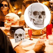  Modello Cervello Smontabile