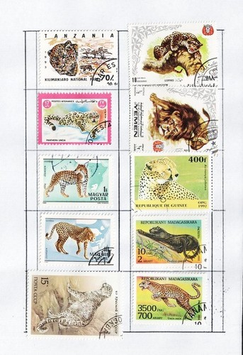 Serie lotto collezione - serie,