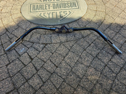 Harley big twin - fl,