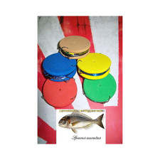 SURFCASTING CINQUE  PARATURE ORATA 1-2 AMI