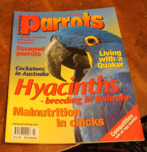 Parrots march 2005 - ~,
