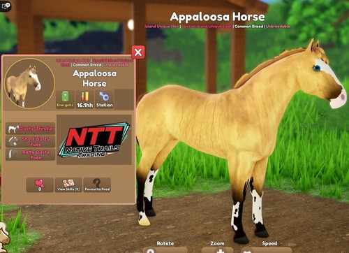 Wild horse islands - horse,