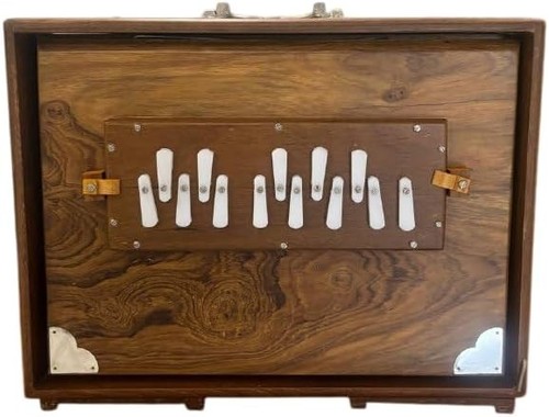 Shruti box in - box, 16",
