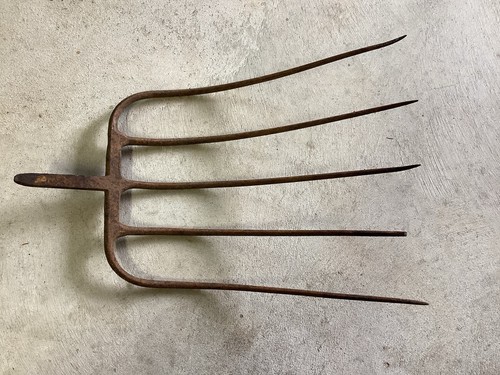 Testa forchetta passo