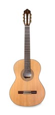 APC Chitarra Concerto 8 Cyp