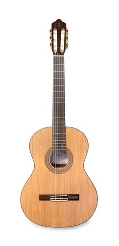 Apc chitarra concerto - concerto, 8