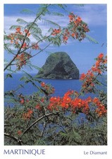 DOM-TOM-MARTINIQUE LE