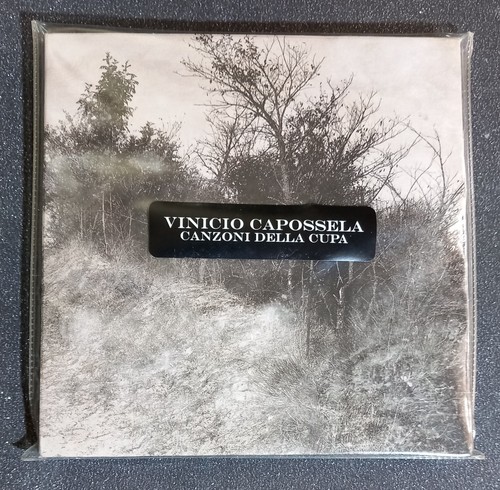 Vinicio