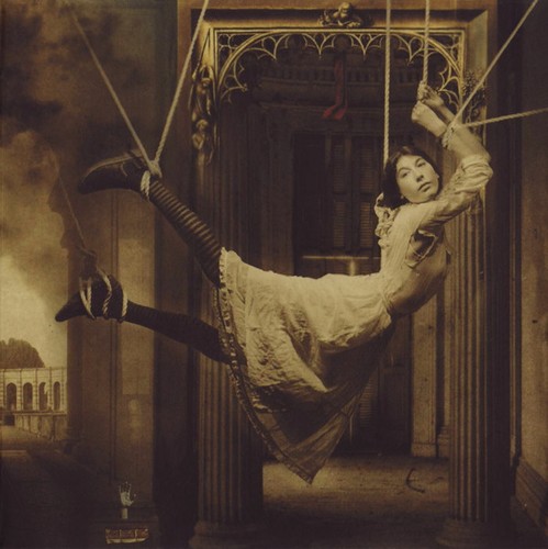 Porcupine tree signify - tree,