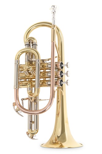 Strumenti fiato vari - strumenti,