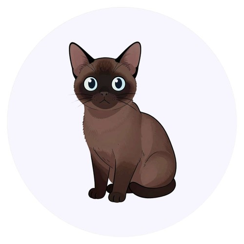 Adesivi gatto birmano - adesivi, 'gatto