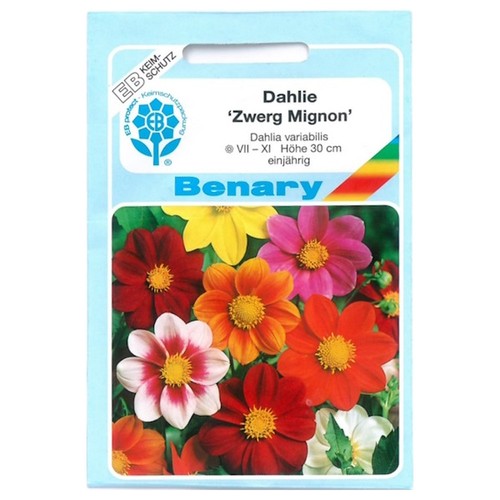Benary semi dalia - semi,